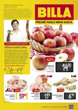 Billa Speciln od 30.1.2013, strana 1 